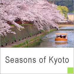 Seasons of Kyoto